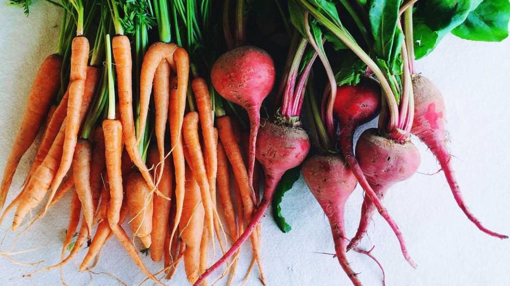 Carrots and radishes health